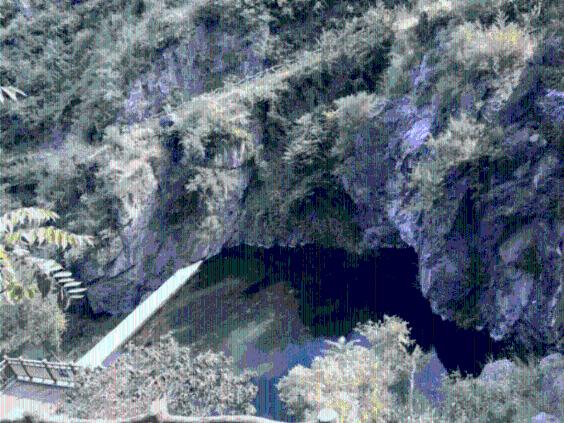 “学习强国”走进2024春节山东乡村文化旅游节青岛启动仪式