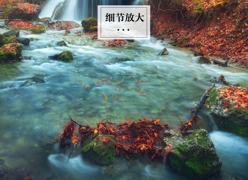 新黄金矿工